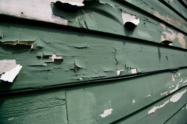 Best Siding for New Construction  in Brandon, MS