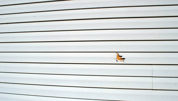 Siding for Multi-Family Homes in Brandon, MS