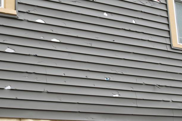 Reliable Brandon, MS Siding Installation & Repair Solutions