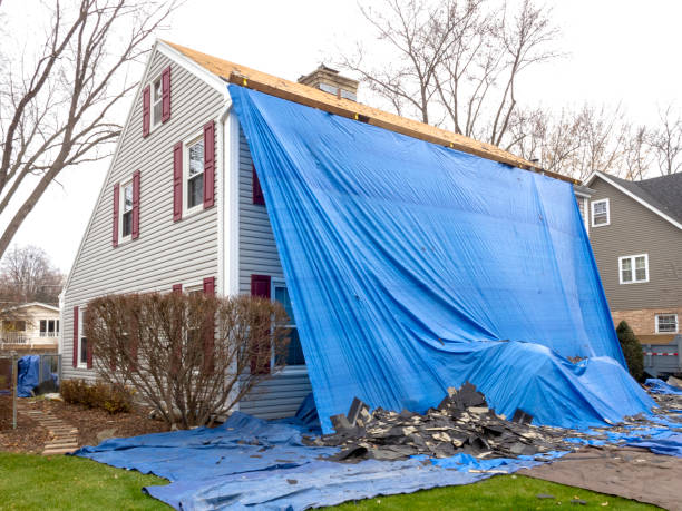 Best Fiber Cement Siding Installation  in Brandon, MS